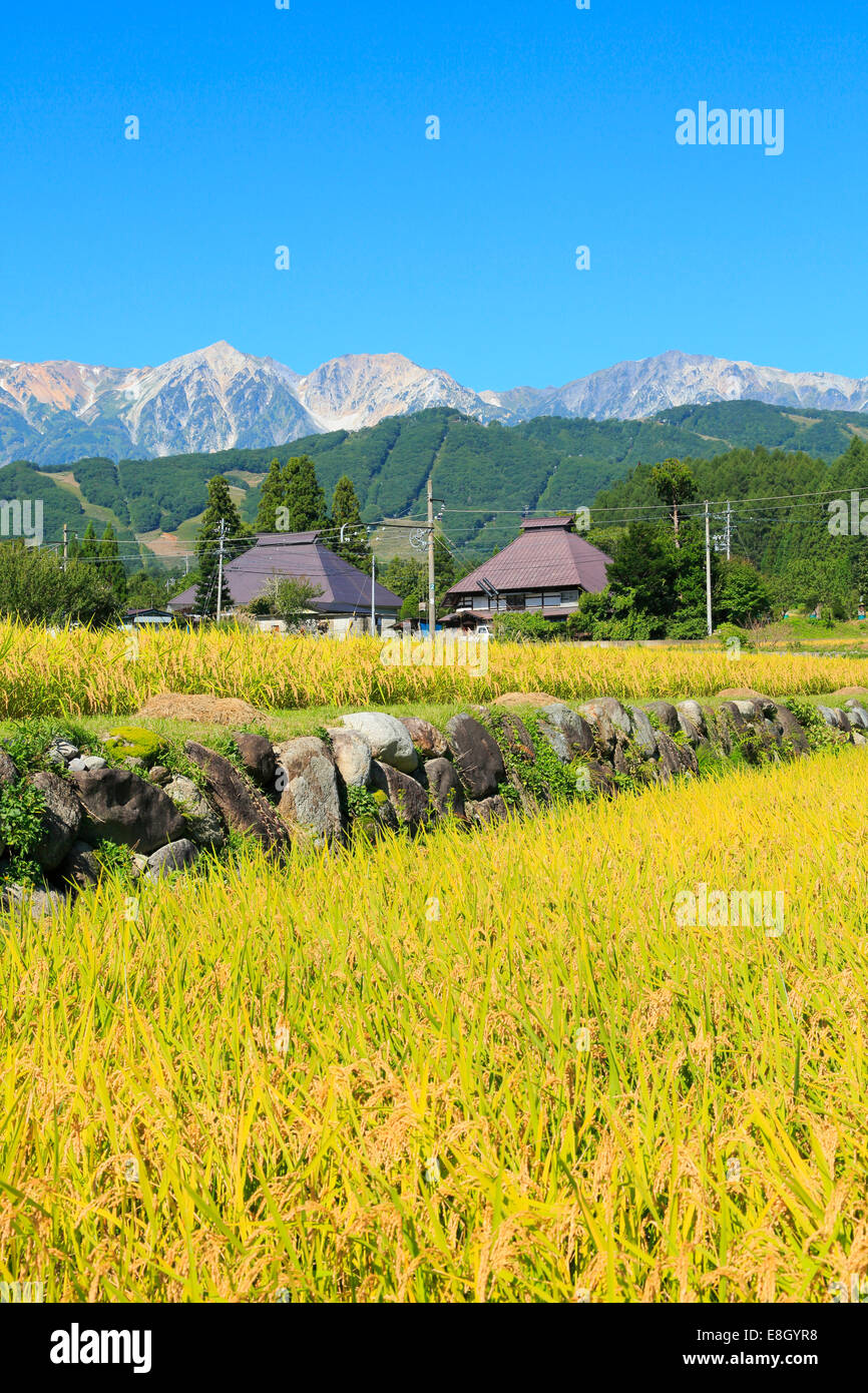 Präfektur Nagano, Japan Stockfoto