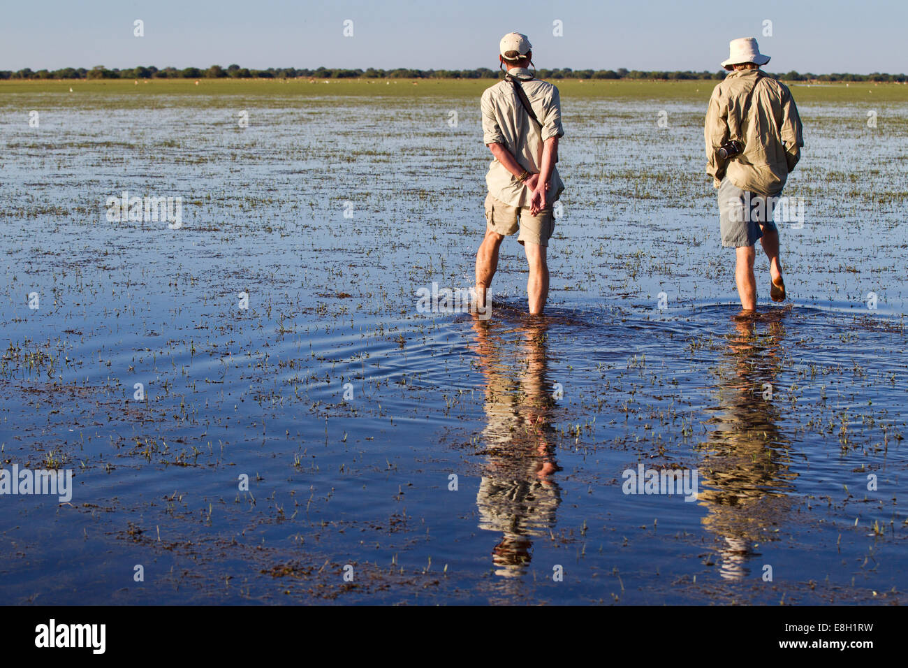 Zwei Männer in Khaki Fuß durch das Wasser der Bangweulu Feuchtgebiete, Sambia Stockfoto