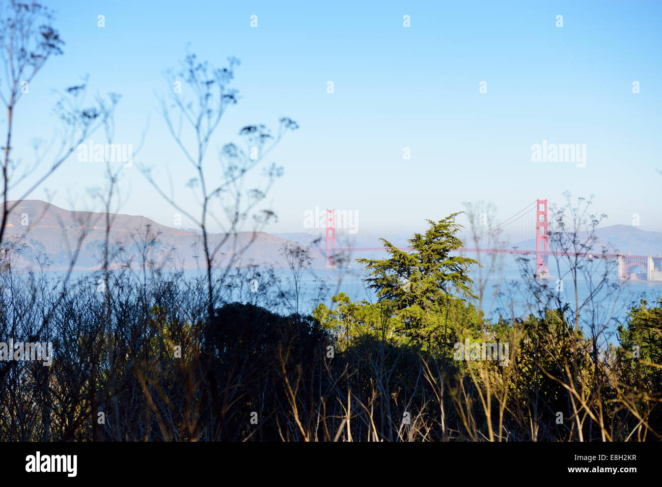 USA, Kalifornien, San Francisco, Anzeigen von Lands End, Golden Gate Bridge Stockfoto