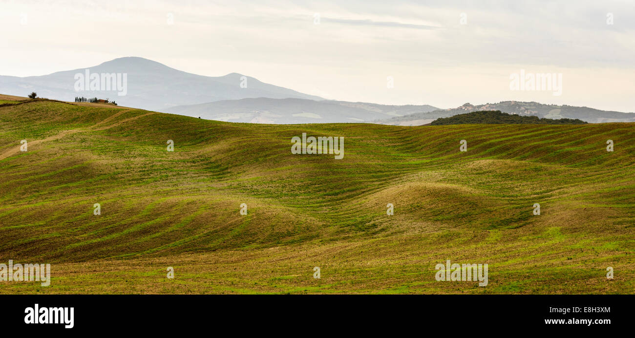 Toskana, Val d'Orcia Stockfoto