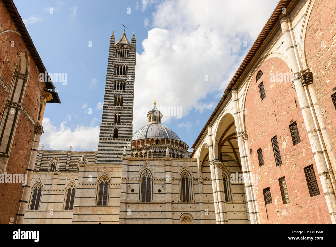 Siena, einen Blick auf den Dom-Turm und Kuppel Stockfoto