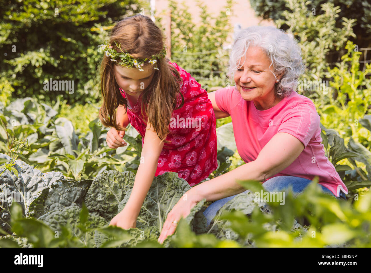 Deutschland, Nordrhein Westfalen, Bornheim, Großmutter und Enkelin arbeiten im Gemüsegarten Stockfoto