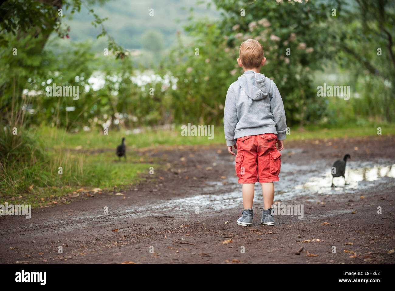 Deutschland, Rheinland-Pfalz, Laacher See, junge Blick auf zwei Enten Stockfoto