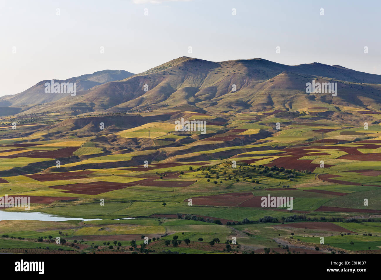 Türkei, Anatolien, South East Anatolia, Landschaft Tur Abdin, Batman Provinz, Felder in der Nähe von Gercues Stockfoto