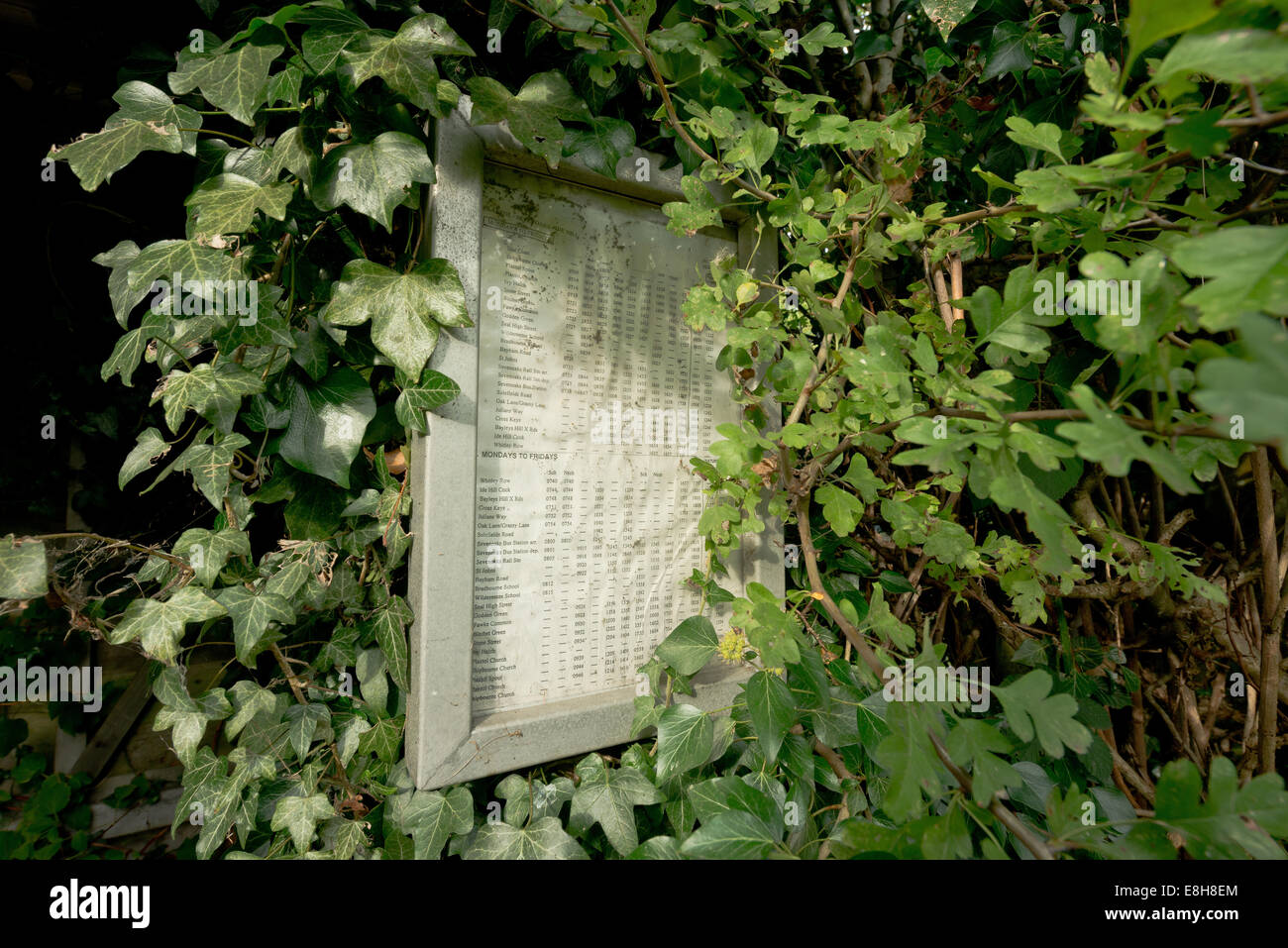 Zeichen der Zeit geschlossen Country Lane-Buslinie und Bushaltestelle wird am Goathurst gemeinsamen überwuchert Stockfoto