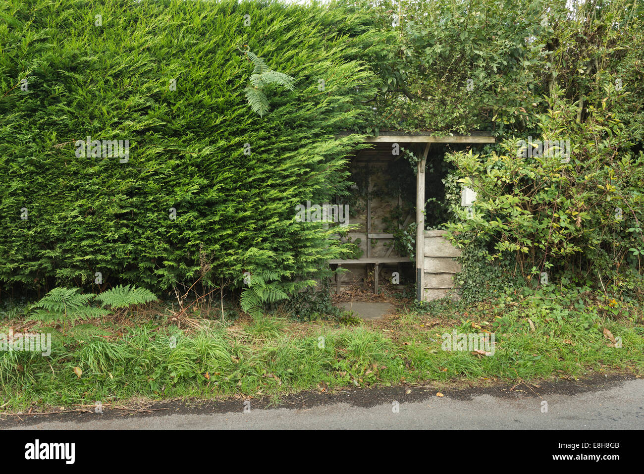 Zeichen der Zeit geschlossen Country Lane-Buslinie und Bushaltestelle wird am Goathurst gemeinsamen überwuchert Stockfoto