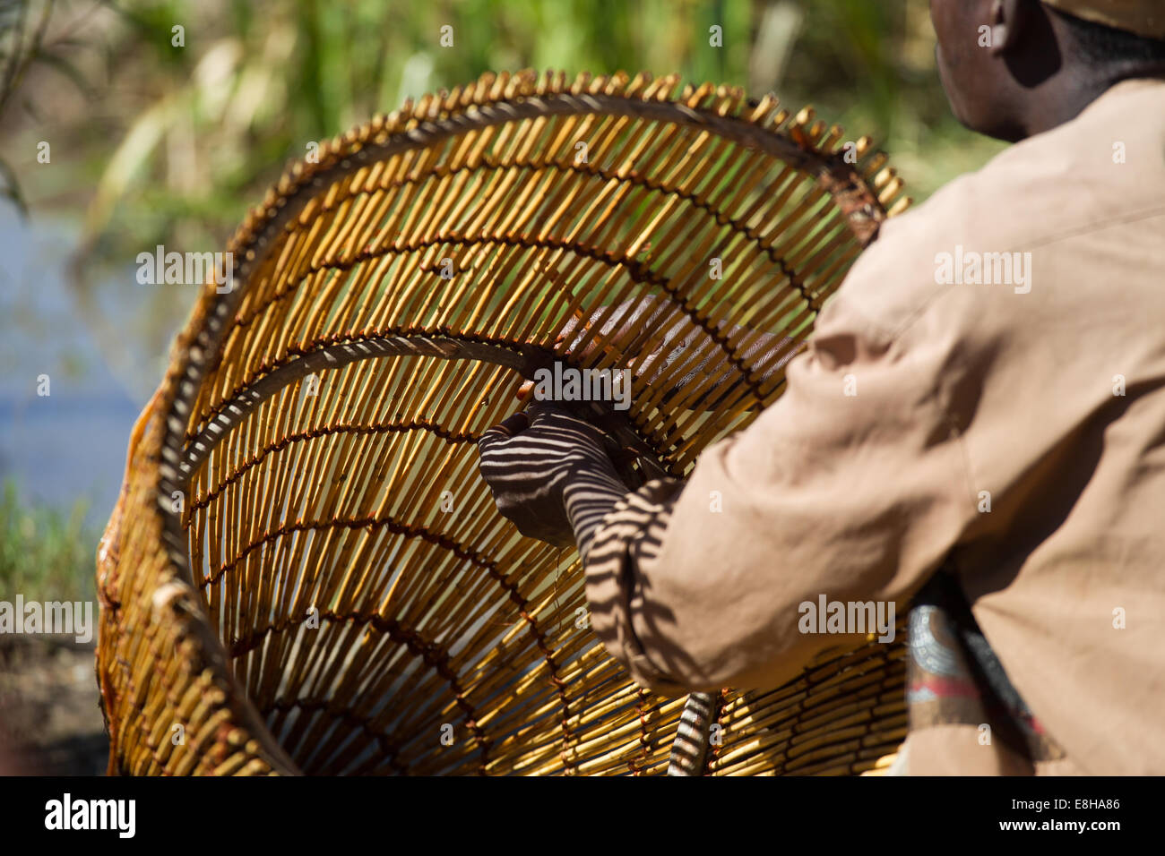Ein Mann fesselt einen Knoten auf einem traditionellen Fisch Falle handgewebte in Sambias Bangweulu Feuchtgebiete Stockfoto