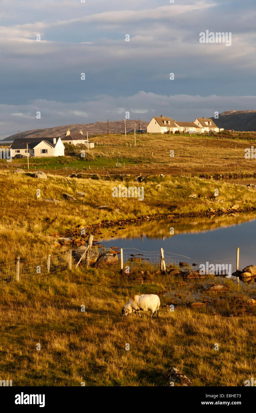 Teil der Gemeinde Siabost an der Westküste von der Isle of Lewis, über das kleine Loch Grinneabhat gesehen. Stockfoto