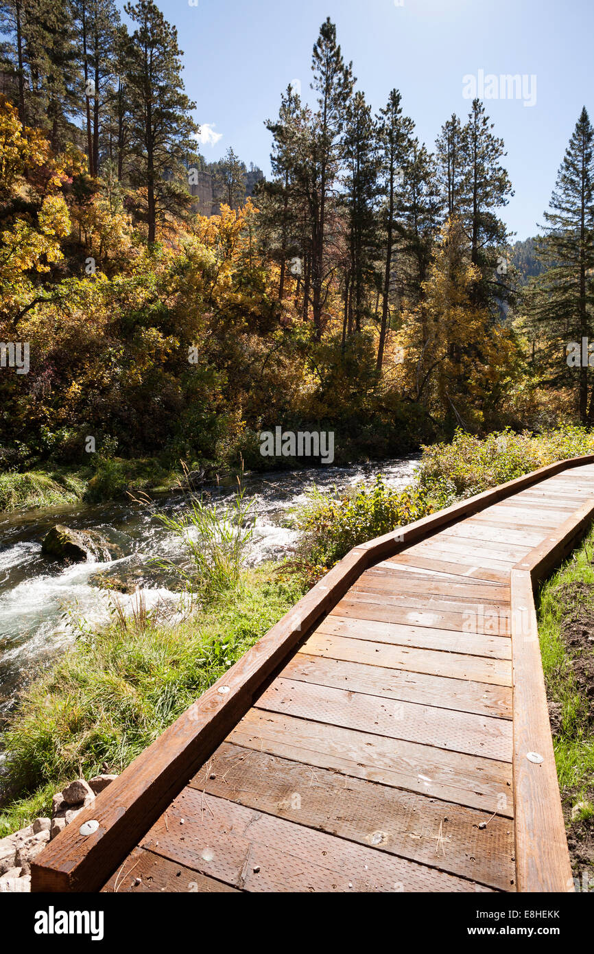 Lange Tal Picknickplatz in Spearfish Canyon, Black Hills National Forest, SD, USA Stockfoto