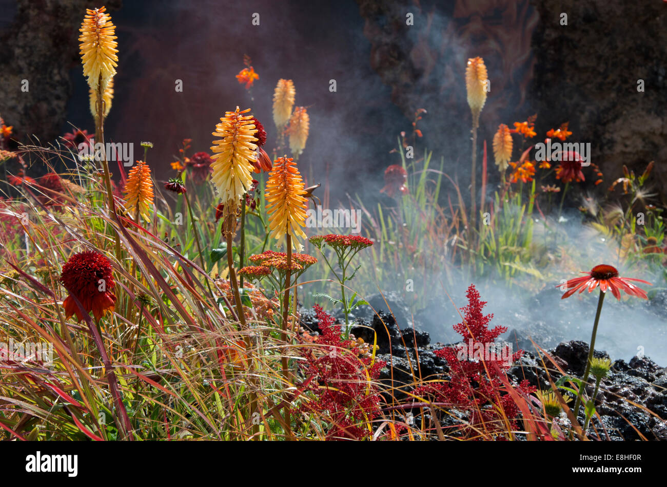Goldmedaille konzeptuellen Garten, Zorn - Eruption des ungeheilten Zorns von Nilufer Danis entworfen. Stockfoto