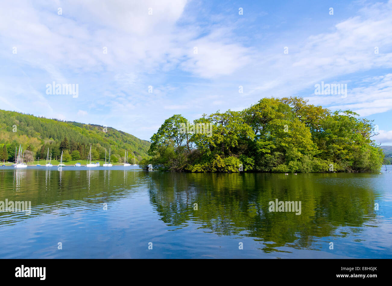 Crow Holme Insel, Lake Windermere, Lake District National Park, Cumbria, England, UK Stockfoto