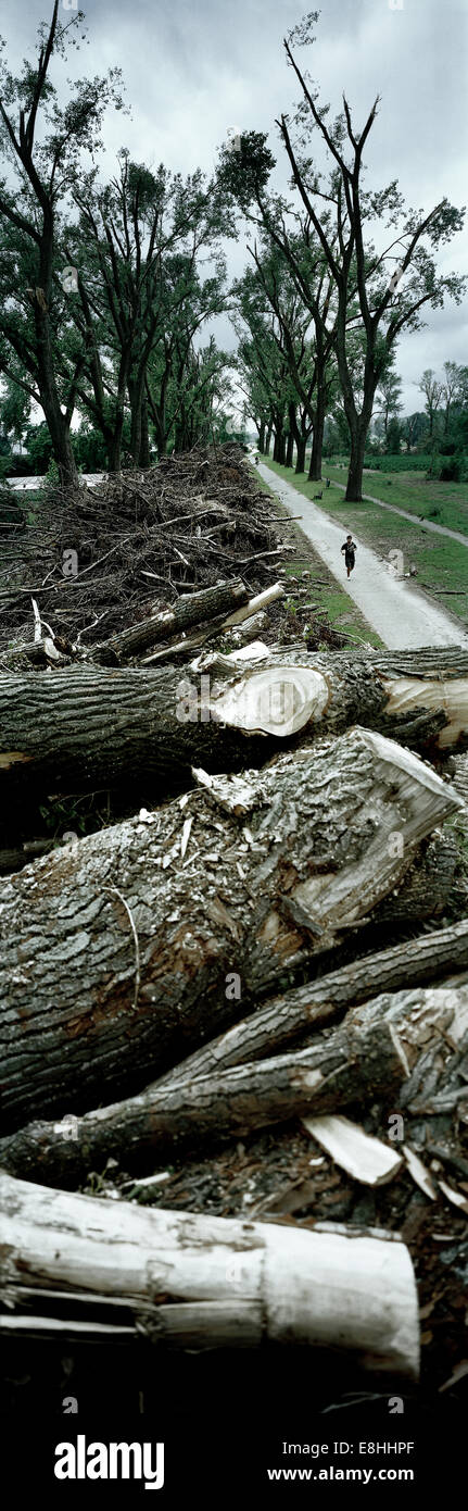 Düsseldorf nach der Hurrikan-Ela. Hohe Größenfoto Stockfoto