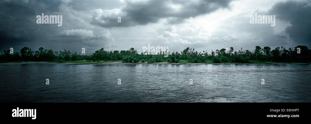 Baum Schaden nach dem Hurrikan Ela in Düsseldorf, Deutschland. Am Flussufer des Rheins. Stockfoto