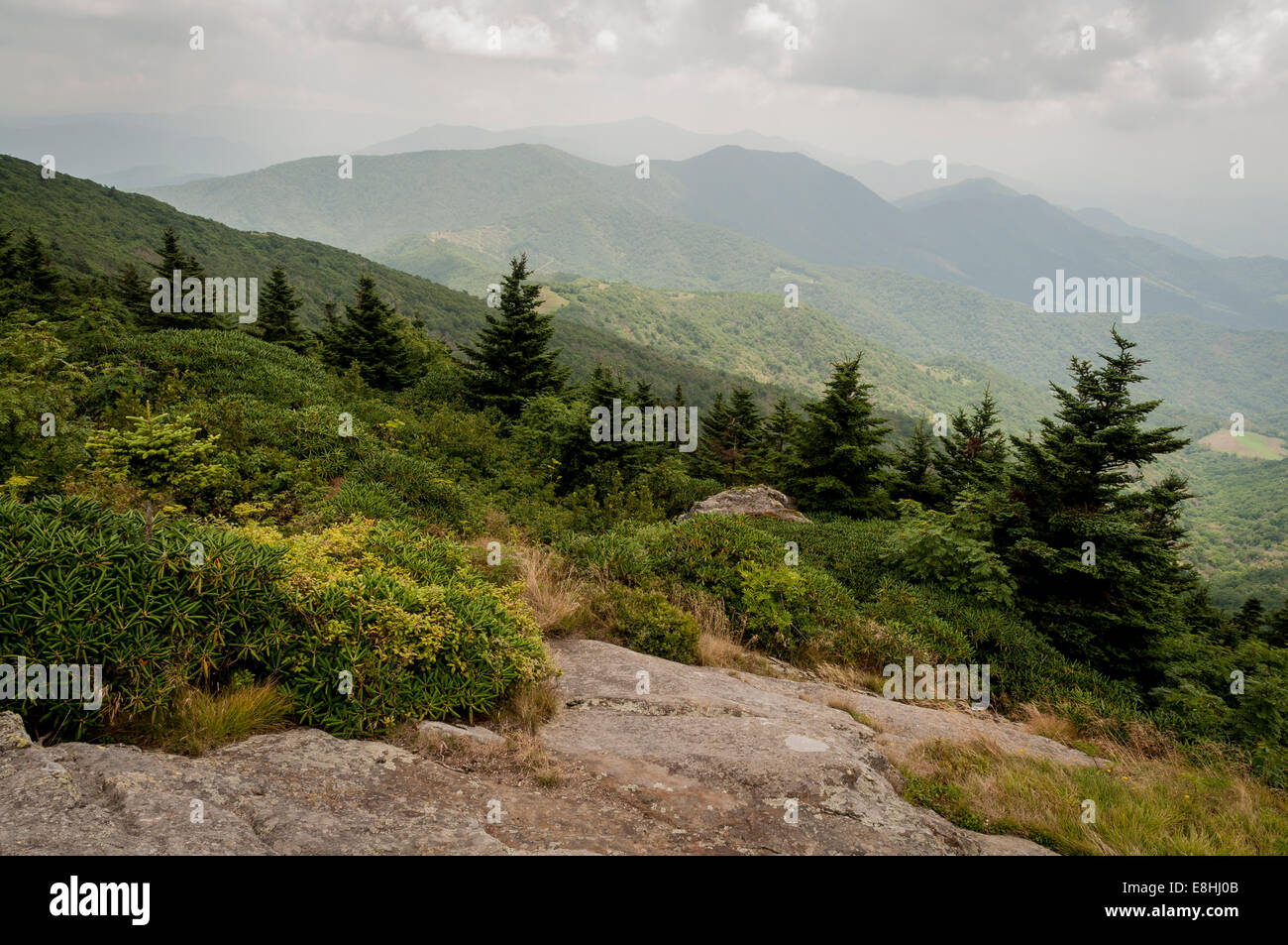 Ein Blick vom entlang des Weges nach Grassy Ridge auf Roan Mountain im Pisgah National Forest in North Carolina, USA, in den Appalachen Stockfoto