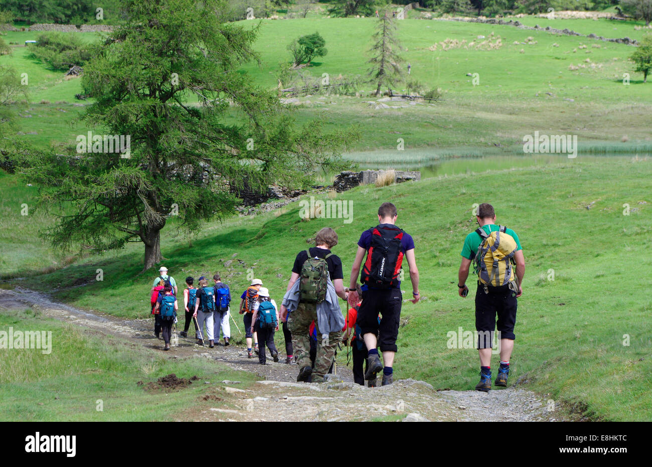 Gruppe von jungen Menschen zu Fuß auf claife Höhen, Nationalpark Lake District, Cumbria, England, Großbritannien Stockfoto