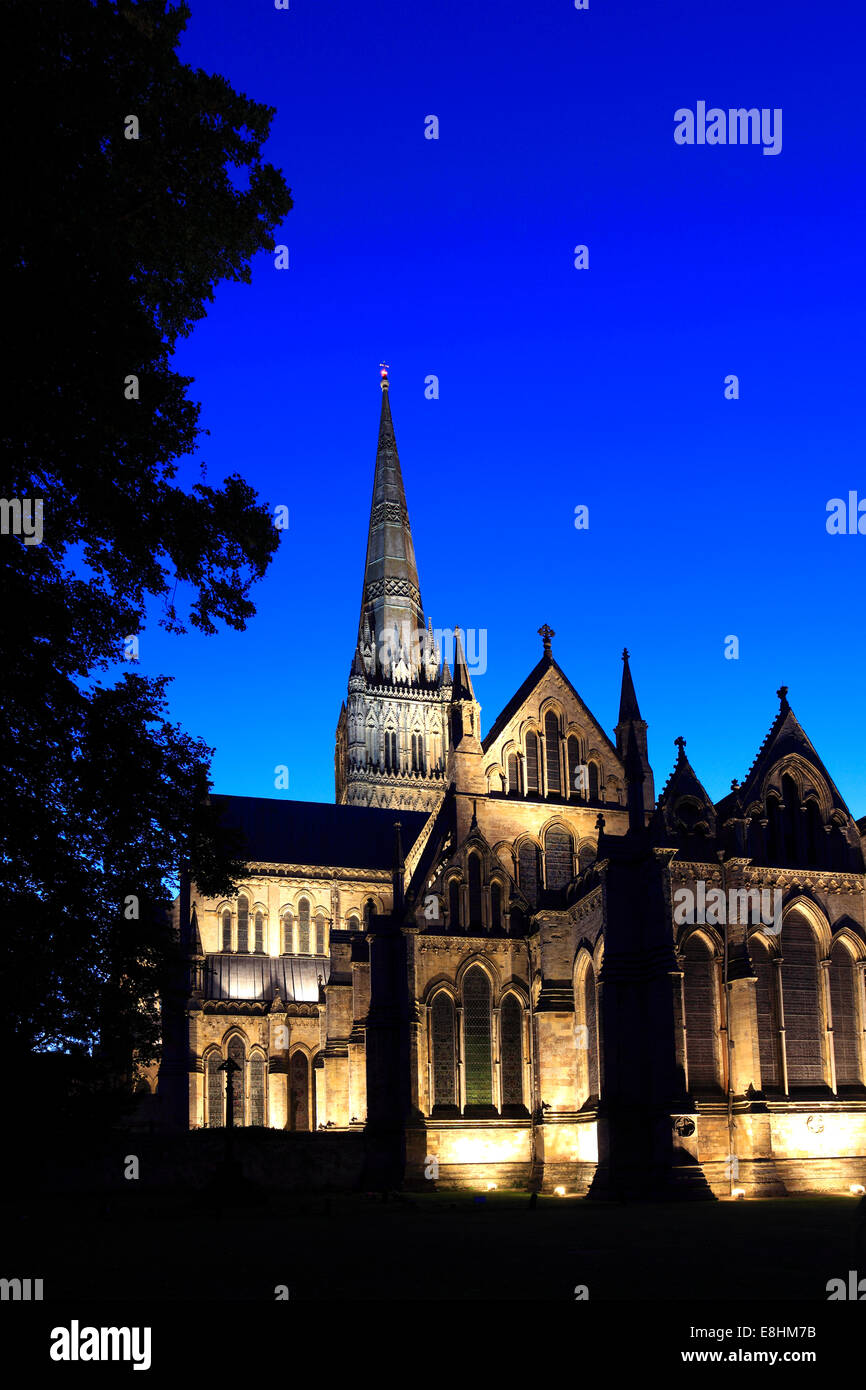 Außenseite des 13. Jahrhundert Salisbury Cathedral, bei Nacht, Stadt Salisbury, Grafschaft Wiltshire, England, UK Stockfoto