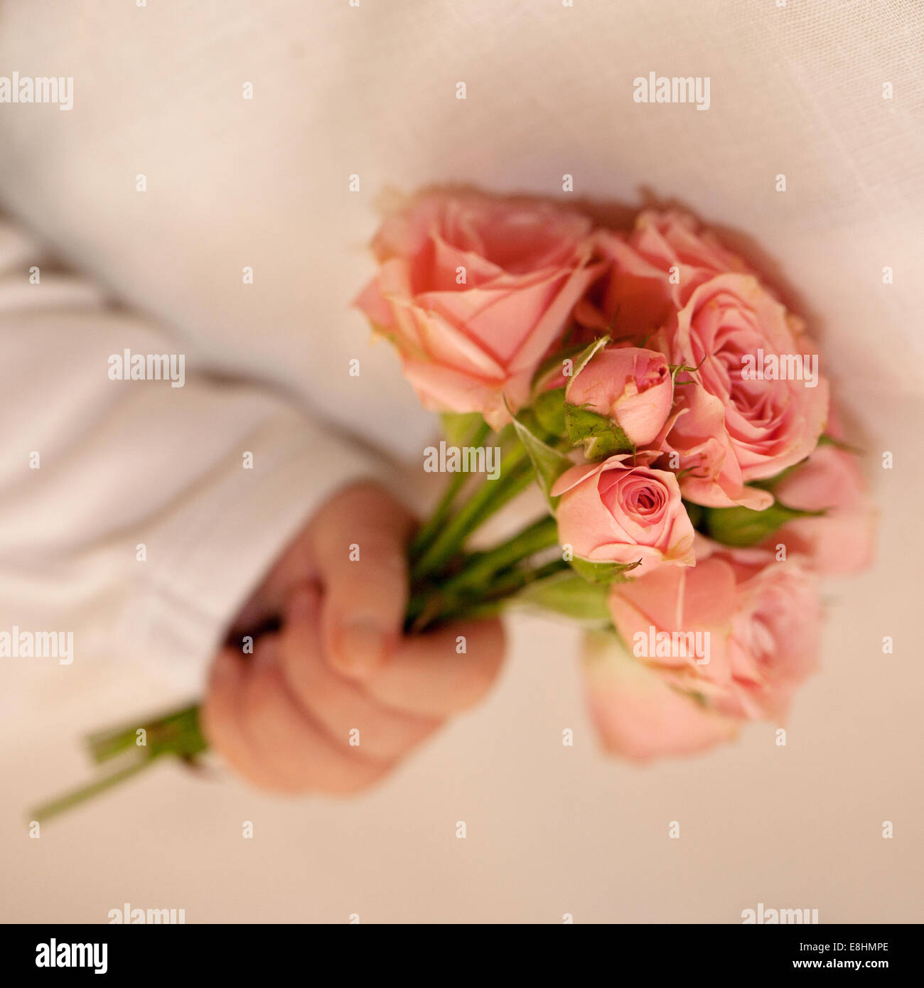 Neugeborenes Baby Hand hält einen Blumenstrauß, winzige rosa Rosen. Stockfoto