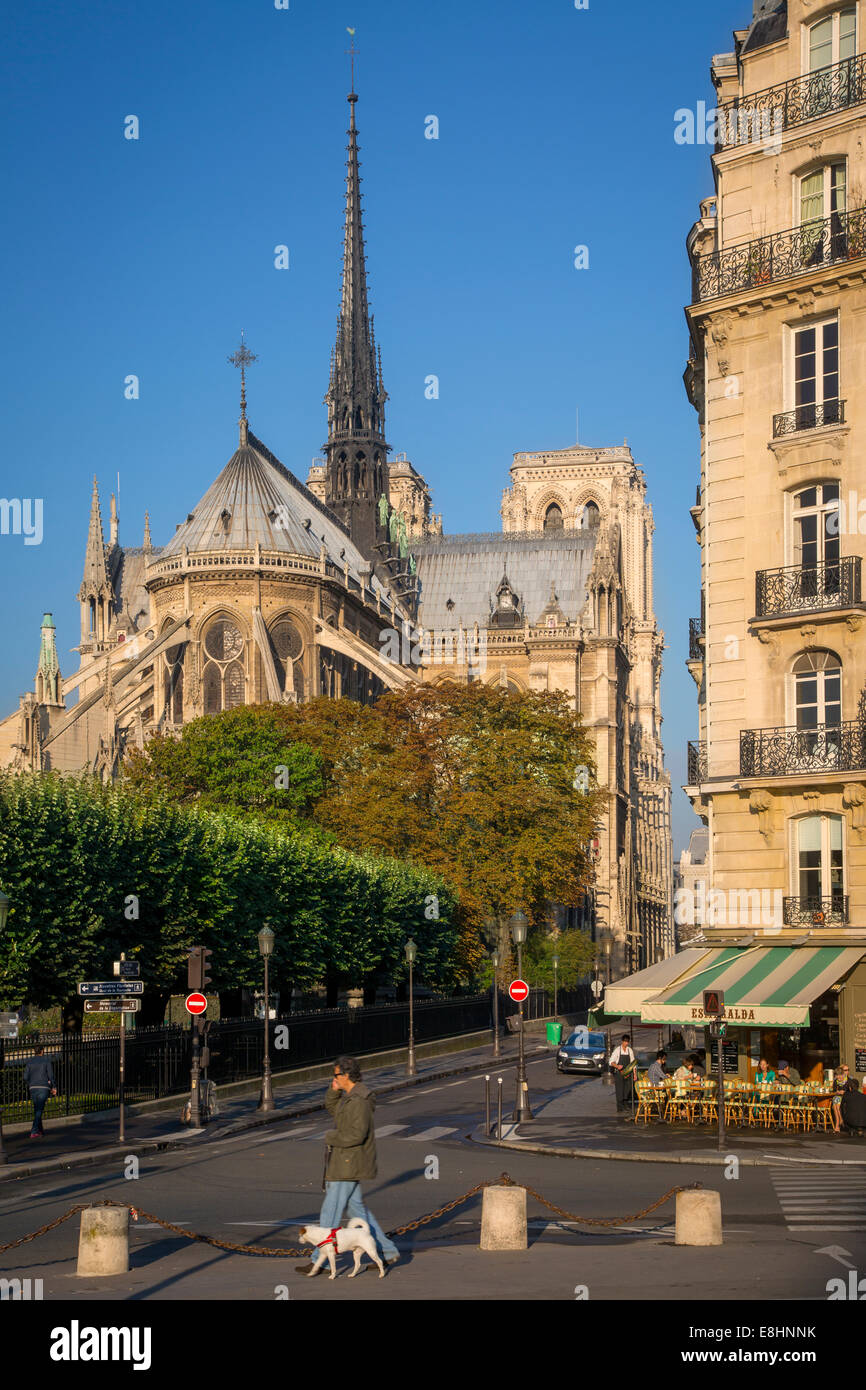 Gehen morgen Hund unter Kathedrale Notre Dame, Paris, Frankreich Stockfoto