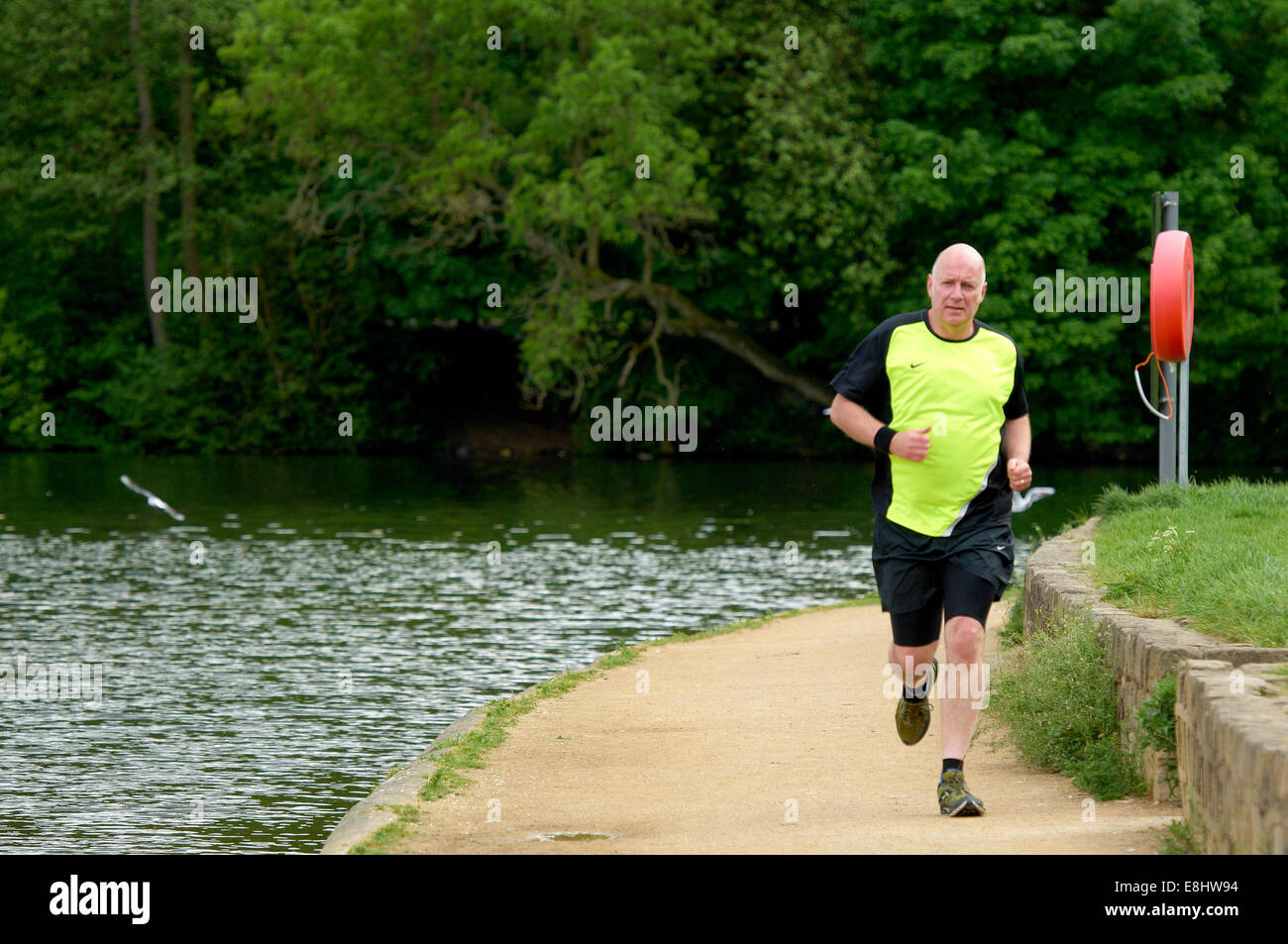 Mann, jogging am Weg um Waterloo See bei Roundhay Park, Leeds, West Yorkshire, Großbritannien. Stockfoto