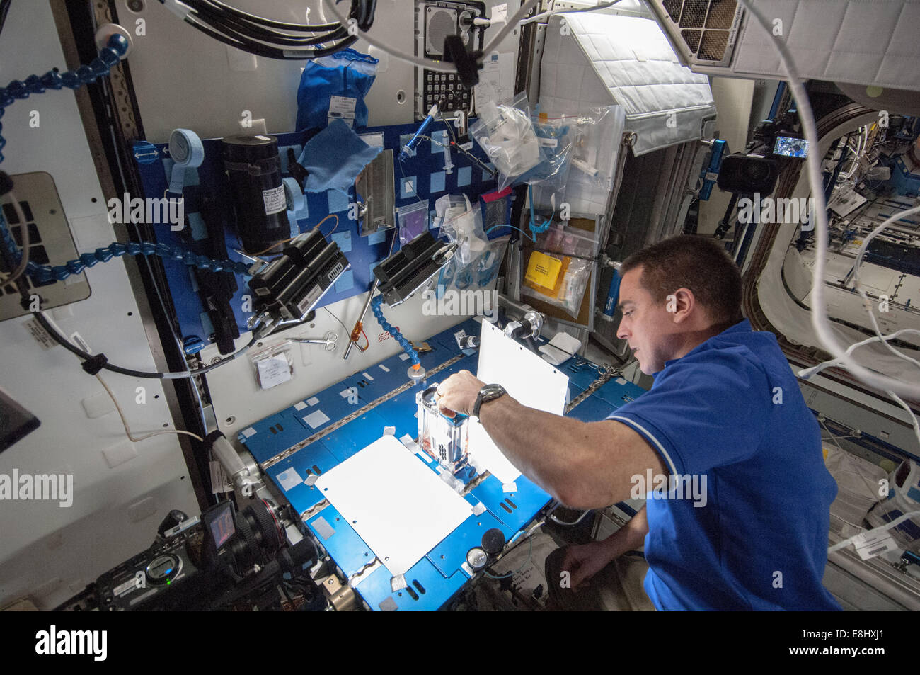 NASA-Astronaut Chris Cassidy, Expedition 36 Flugingenieur, arbeitet an der Kapillare Flow Experiment an Bord der International Spa Stockfoto