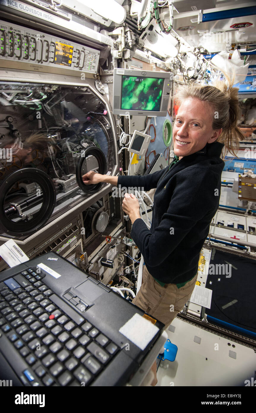 NASA-Astronaut Karen Nyberg bei der Microgravity Science Glovebox auf die Untersuchung arbeitete der Struktur der paramagnetischen Aggre Stockfoto