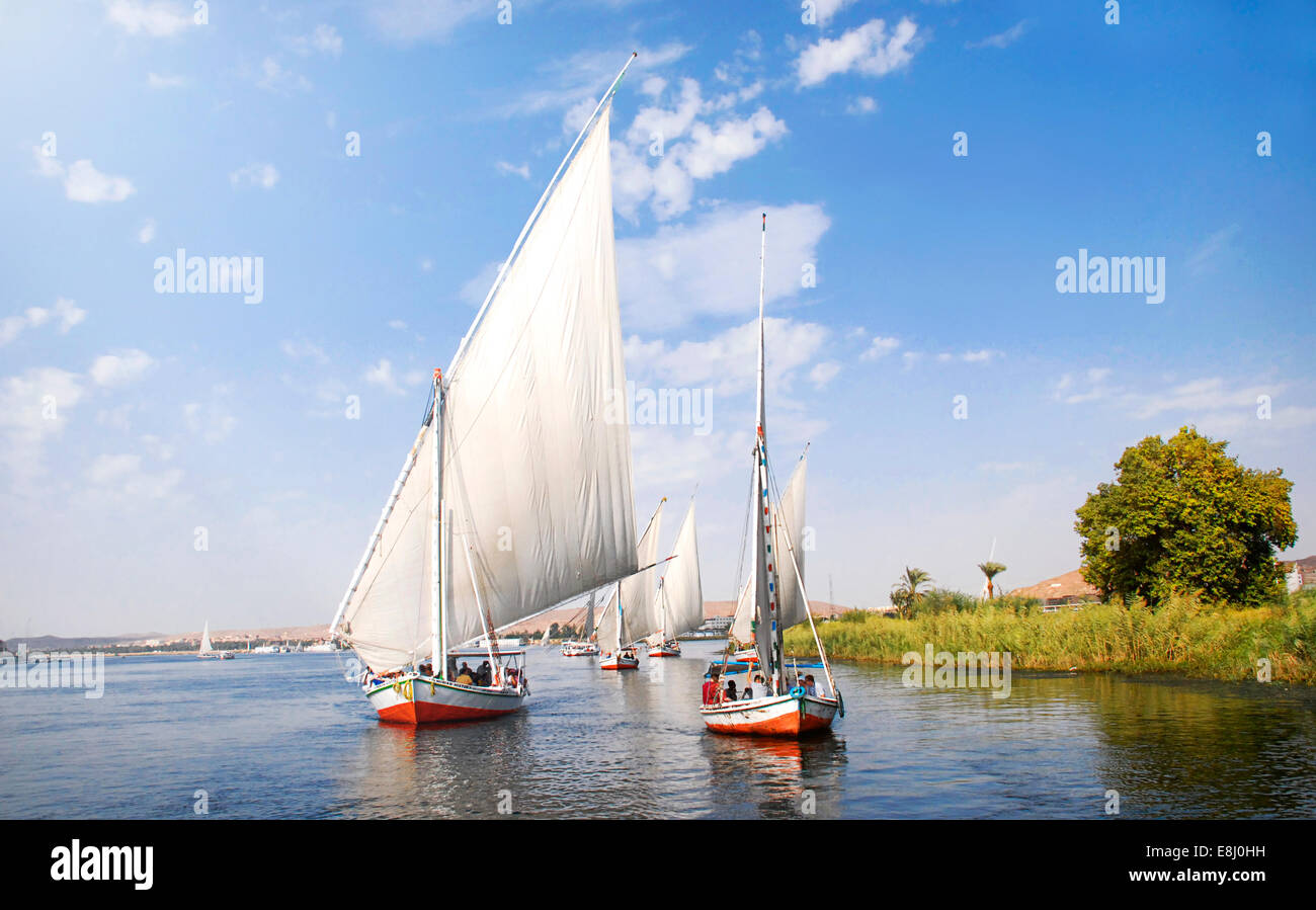 Anzahl der Flucca Boote bei der Nachmittag Nil-Fahrt auf der Stadt Assuan südlich von Ägypten. Stockfoto