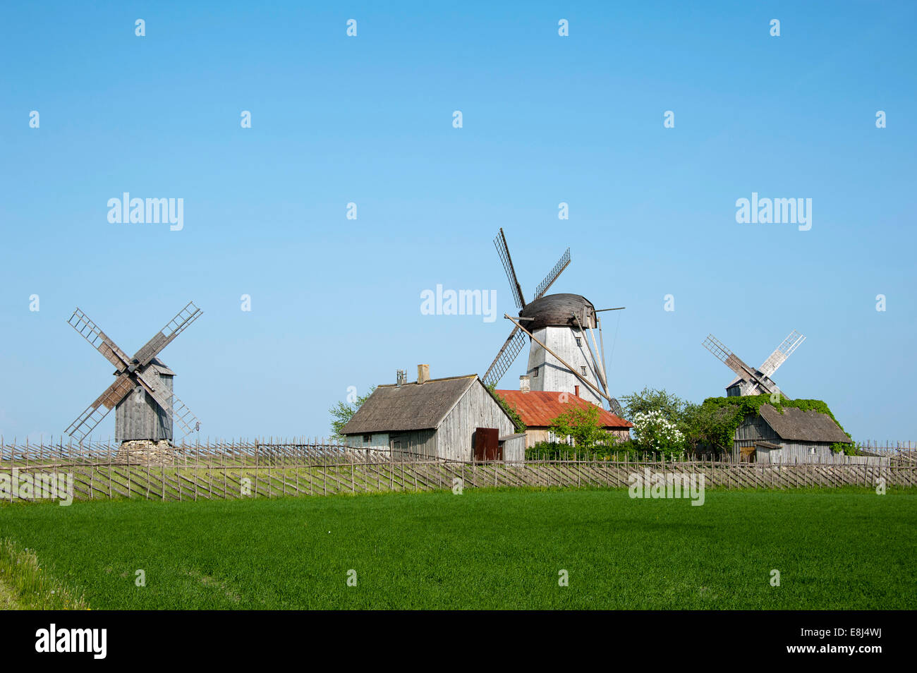 Windmühlen, Angla, Insel Saaremaa, Estland, Baltikum Stockfoto