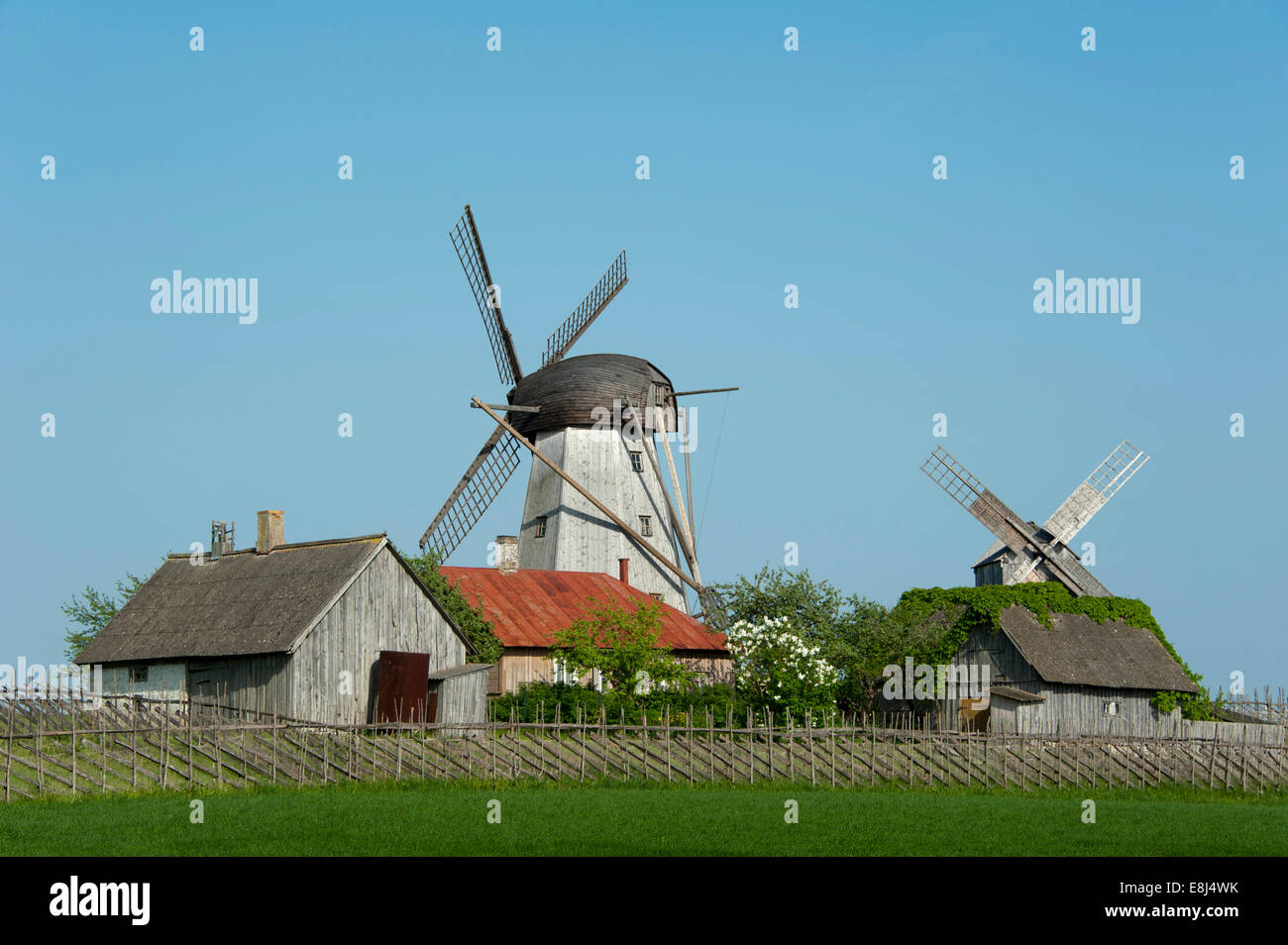 Windmühlen, Angla, Insel Saaremaa, Estland, Baltikum Stockfoto