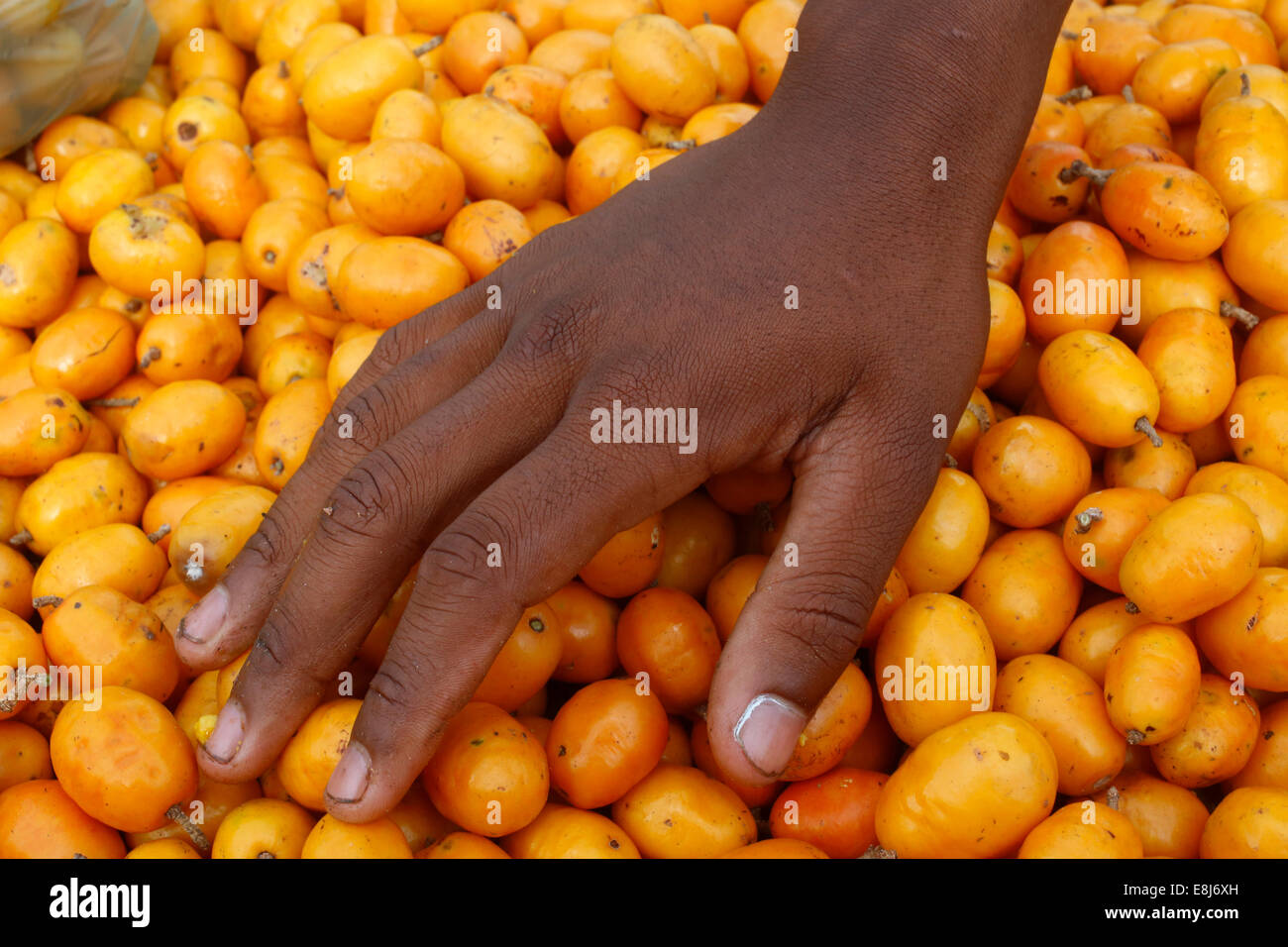 Hand aufs Siriguella Obst Stockfoto