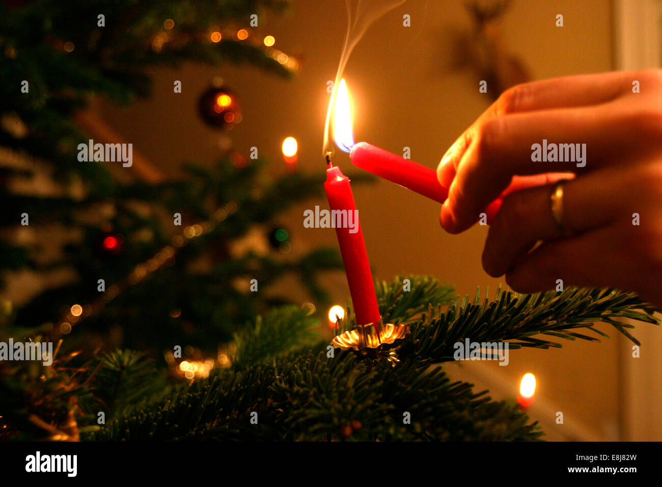 Weihnachtsbaum Stockfoto