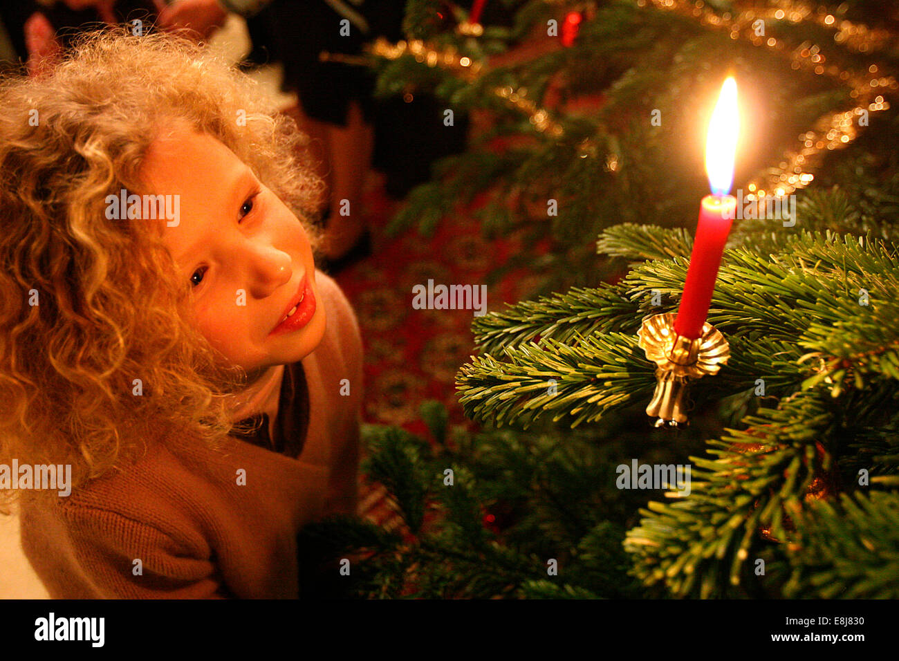Weihnachtsbaum Stockfoto