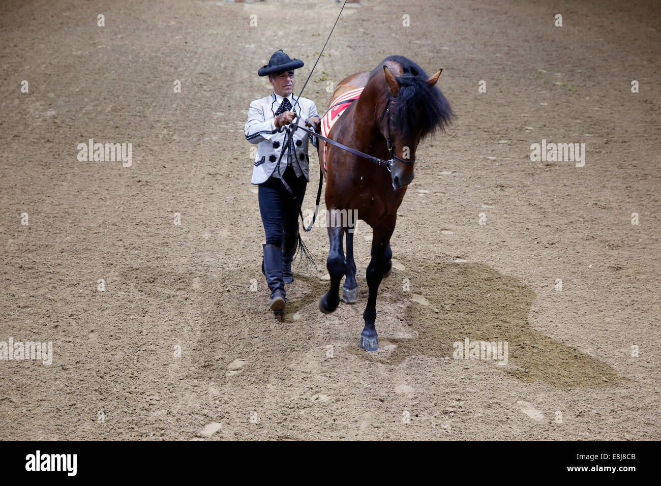 Die königlichen andalusischen Schule der Pferdesport-Kunst. Zeigen. Stockfoto