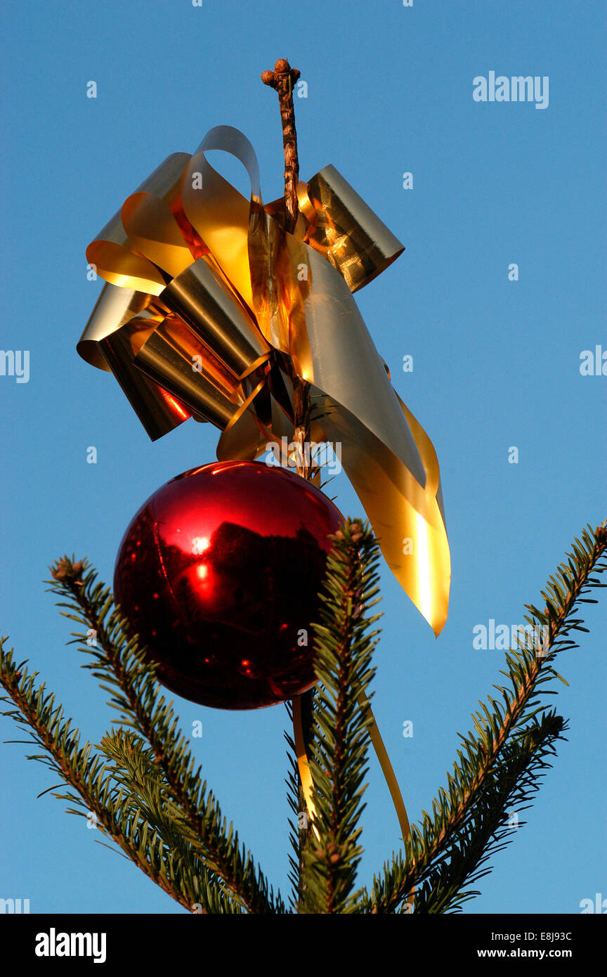 Weihnachtsbaum Stockfoto