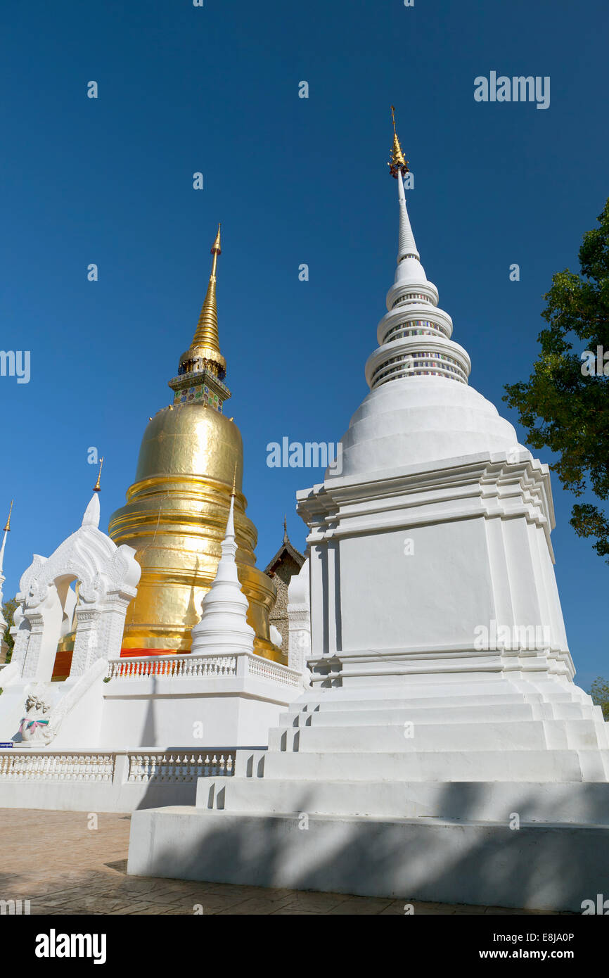 Die Chedi und Stupas im Wat Suan Dok, Chiang Mai, Thailand. Stockfoto