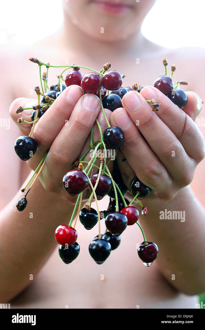 Hubarbeitsbühne Stockfoto
