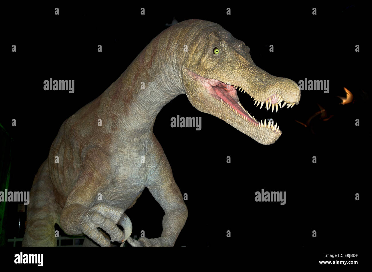 dh Baryonyx prähistorische Tier ausgestorbenen europäischen Dinosaurier piscivorous zweibeinigen Stockfoto