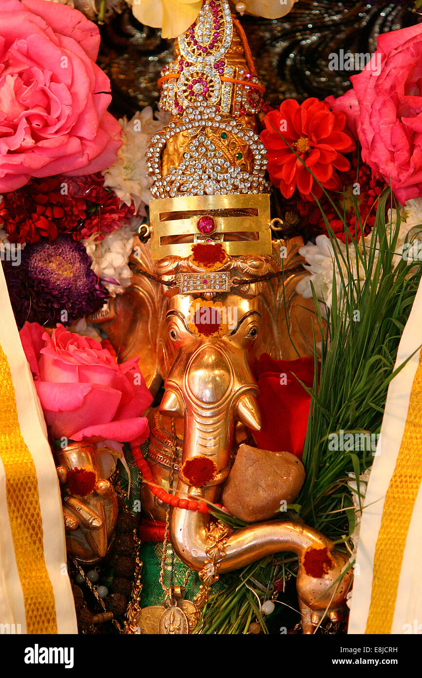 Ganesh Festival am Sri Mánickas Vinayakar Alayam Tempel Stockfoto