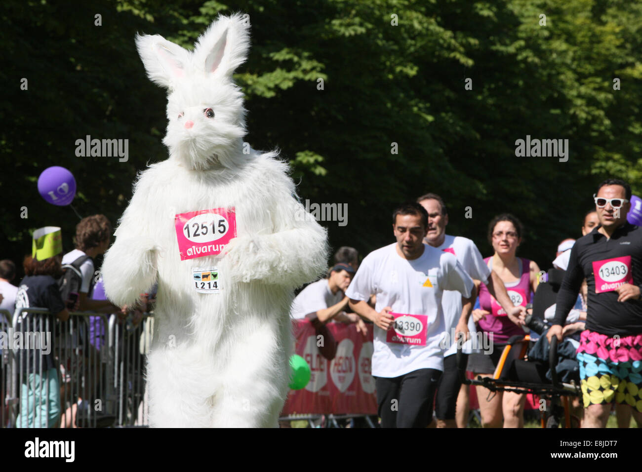 Läufer, gekleidet wie ein Kaninchen.  Die Helden Rennen 2012. Stockfoto