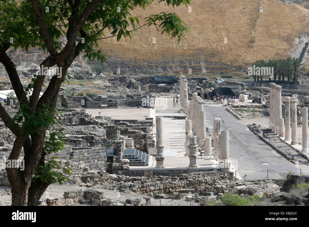 Römisch-byzantinischen Stadt Skythopolis in Beth Shean Nationalpark. Stockfoto