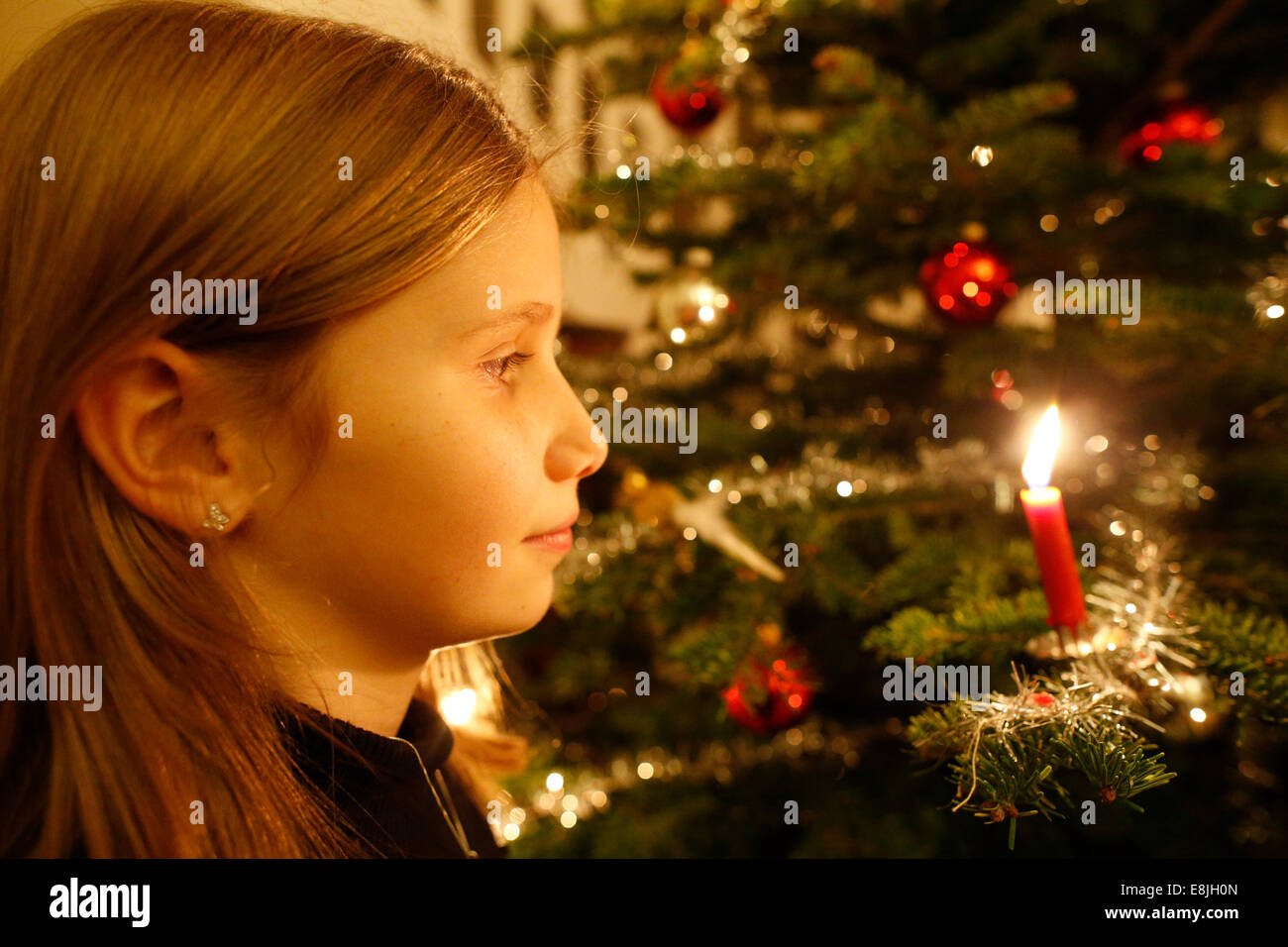 Weihnachtsbaum. Stockfoto