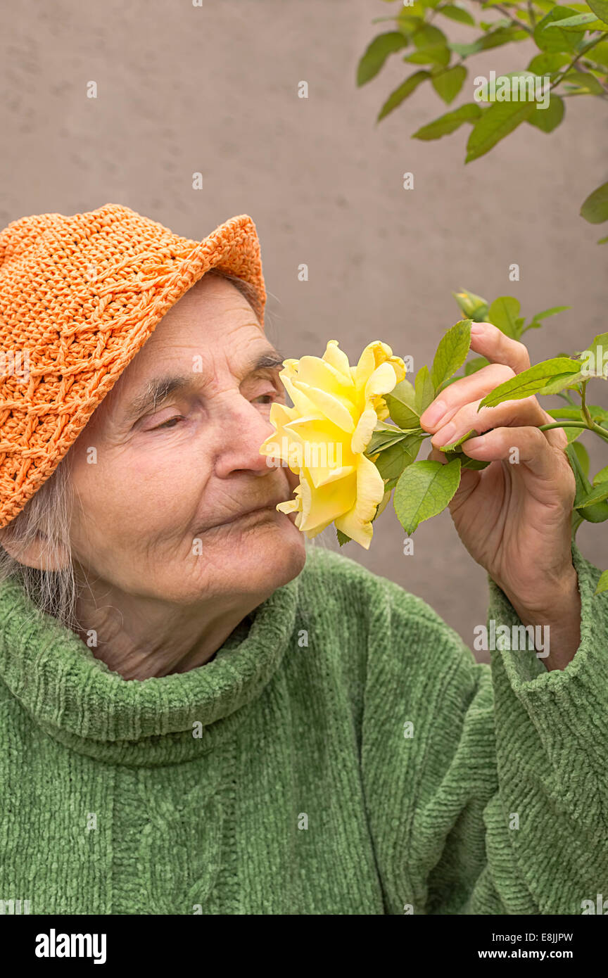 Ältere Frau riechende gelb rose Blume und genießen. Stockfoto