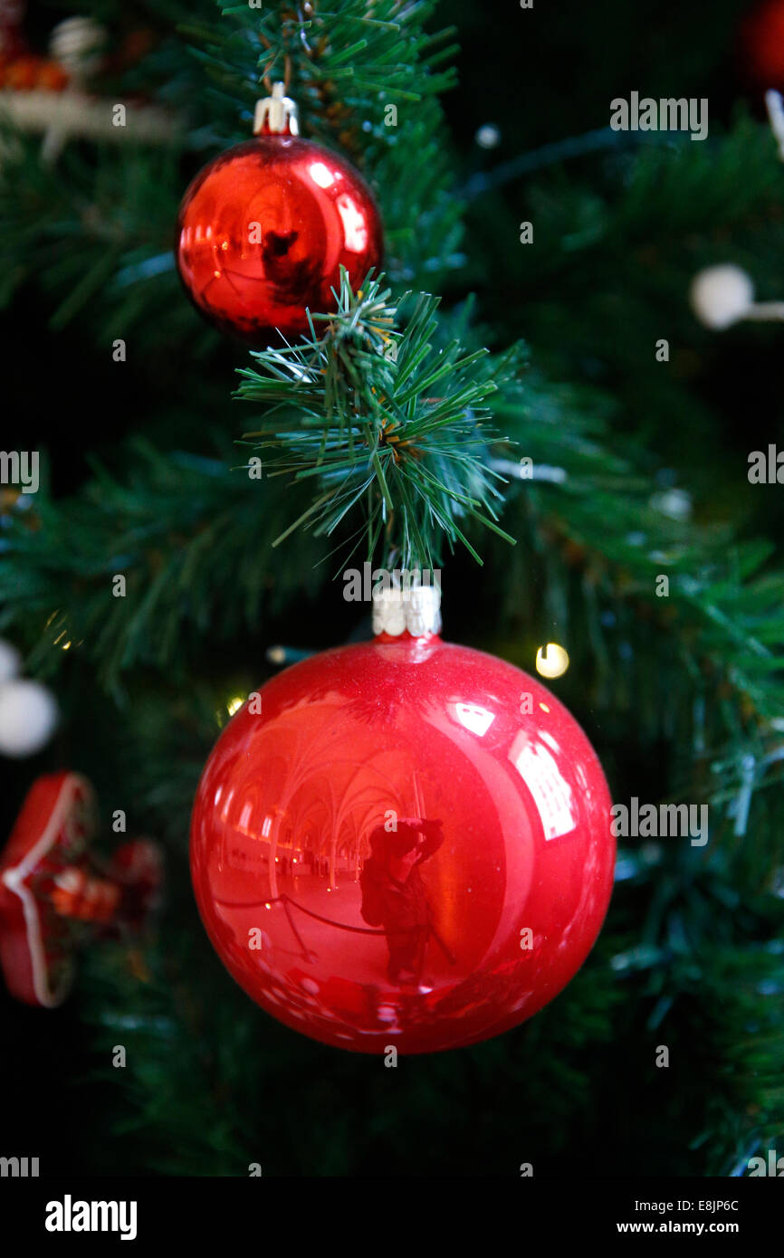 Weihnachtsbaum. Stockfoto