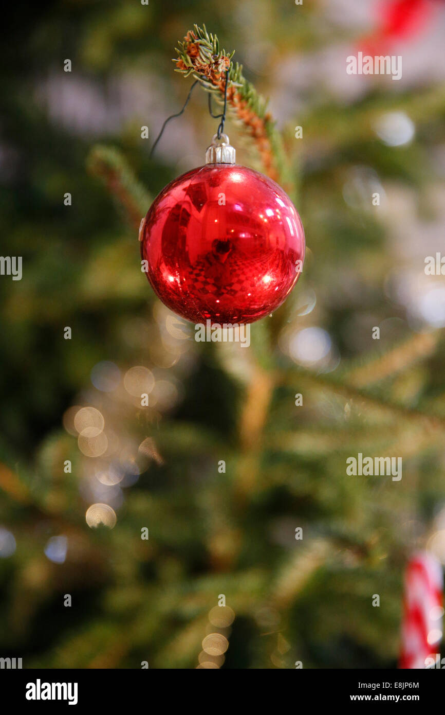 Weihnachtsbaum. Stockfoto