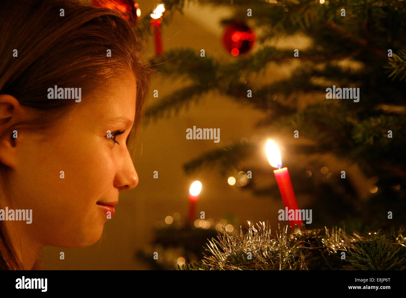 Weihnachtsbaum. Stockfoto