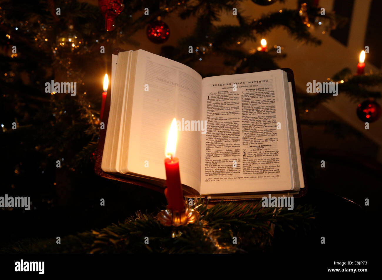Weihnachtsbaum. Stockfoto