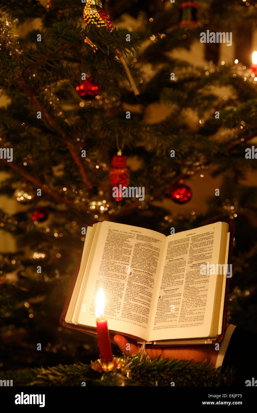 Weihnachtsbaum. Stockfoto