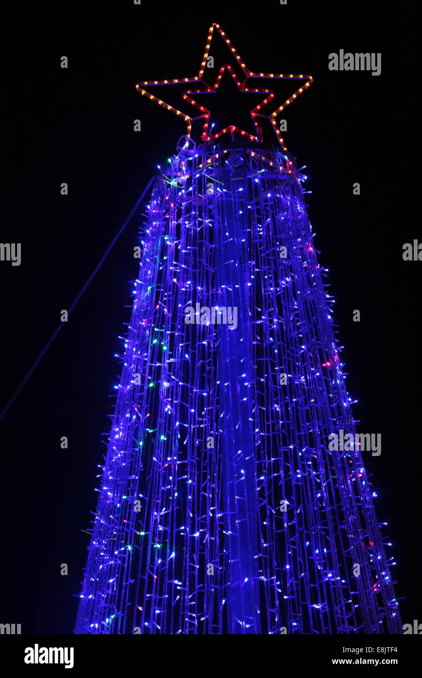 Chritmas Baum. Stockfoto