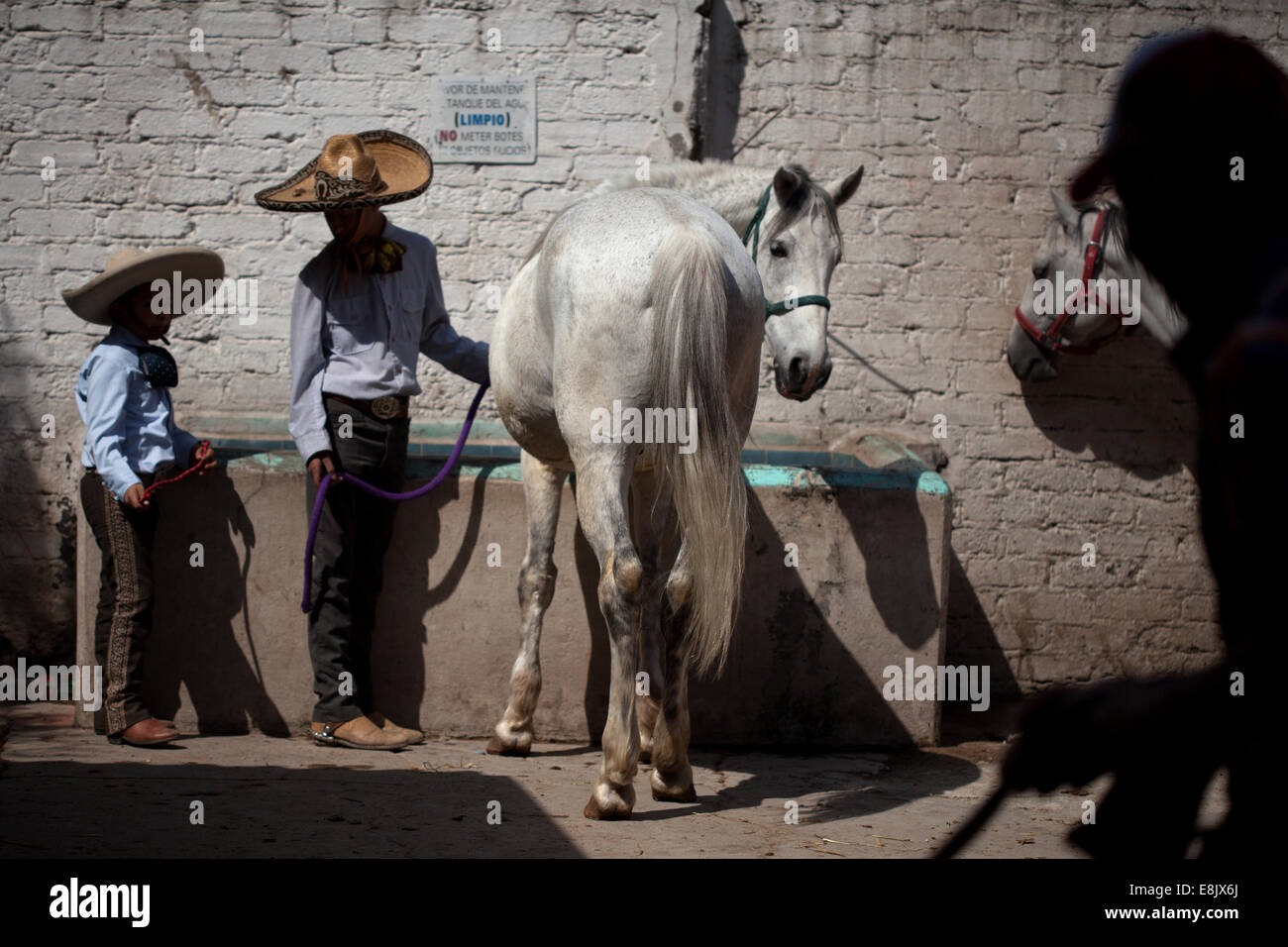 Junge Charros geben Wasser auf seinem Pferd auf dem Lienzo Charro del Peñon in Mexiko-Stadt, Dienstag, 29. Januar 2104. Stockfoto
