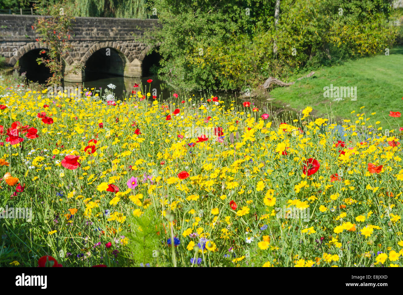 Wildblumenwiese vor einer steinernen Brücke Stockfoto