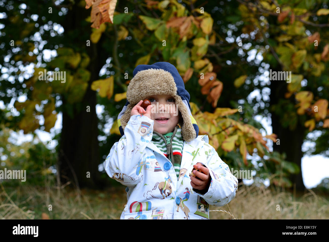 Kleiner Junge, der Konker vom Horse Chestnut Tree im Herbst sammelt, UK Credit: David Bagnall Stockfoto